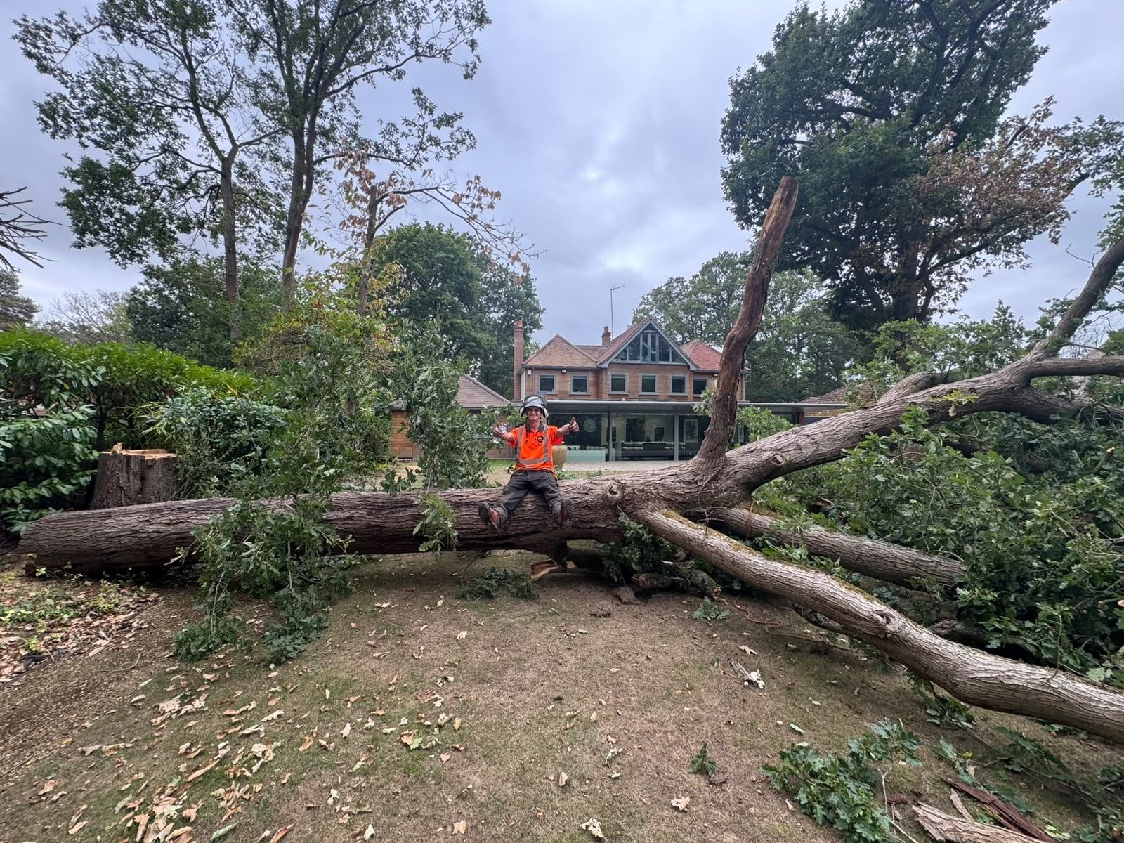 Emergency storm damaged tree removal in Colchester (photo 1)
