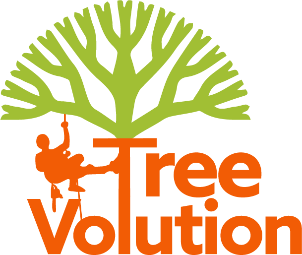 Tree-Volution tree surgeons, Colchester