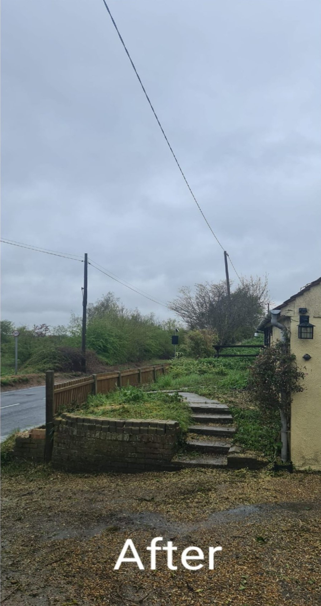 After tree felling removal colchester
