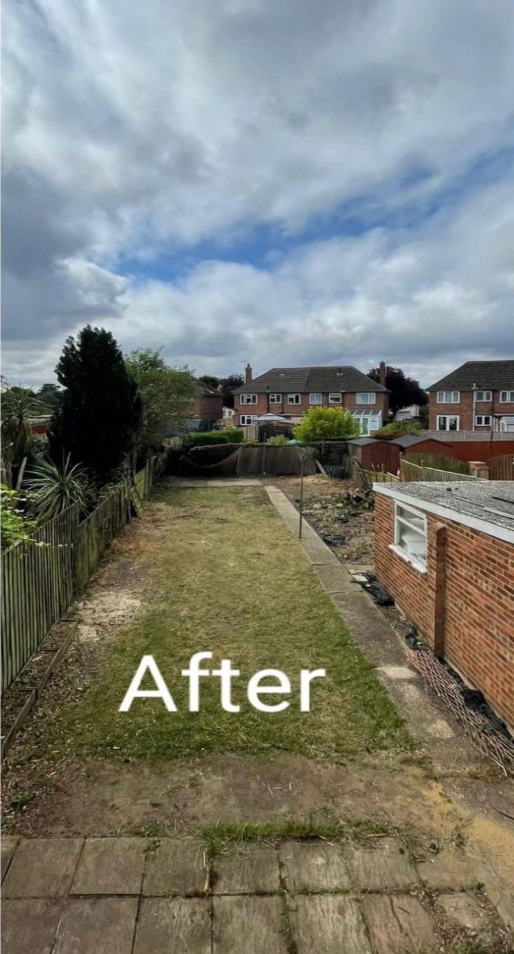 After tree felling removal colchester