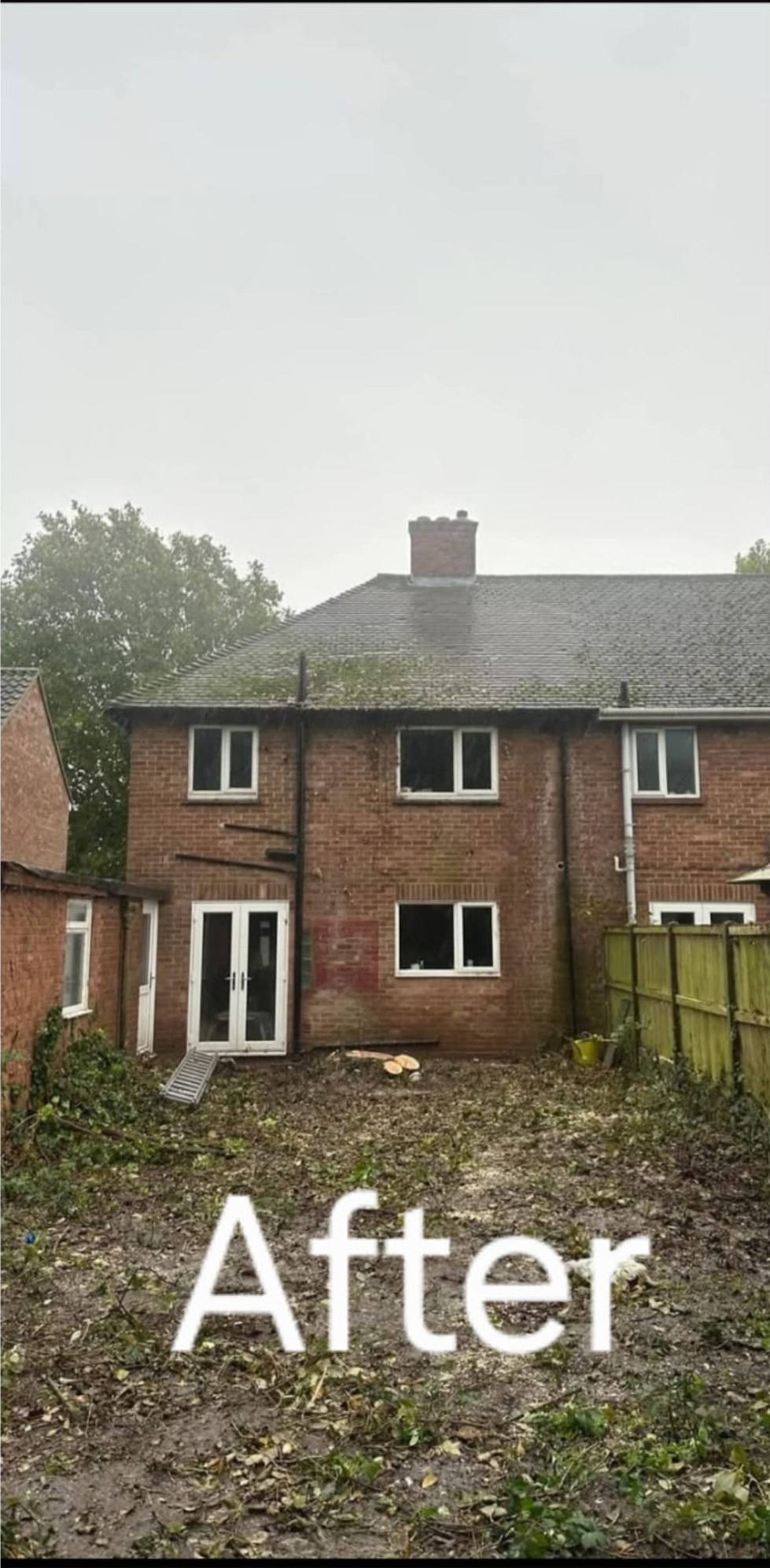 After tree felling removal colchester