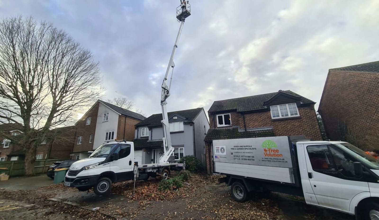 team on site colchester