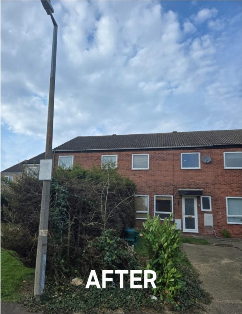 After vegetation clearance colchester