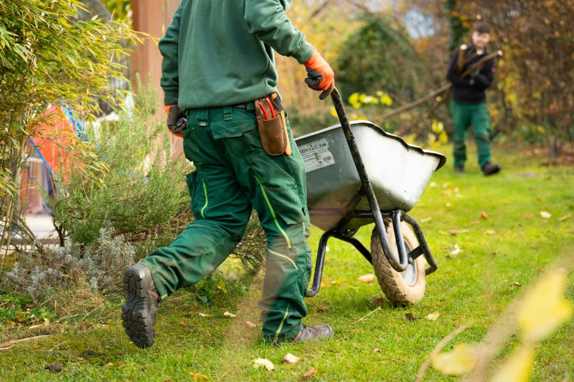 Garden Maintenance — Tree Volution