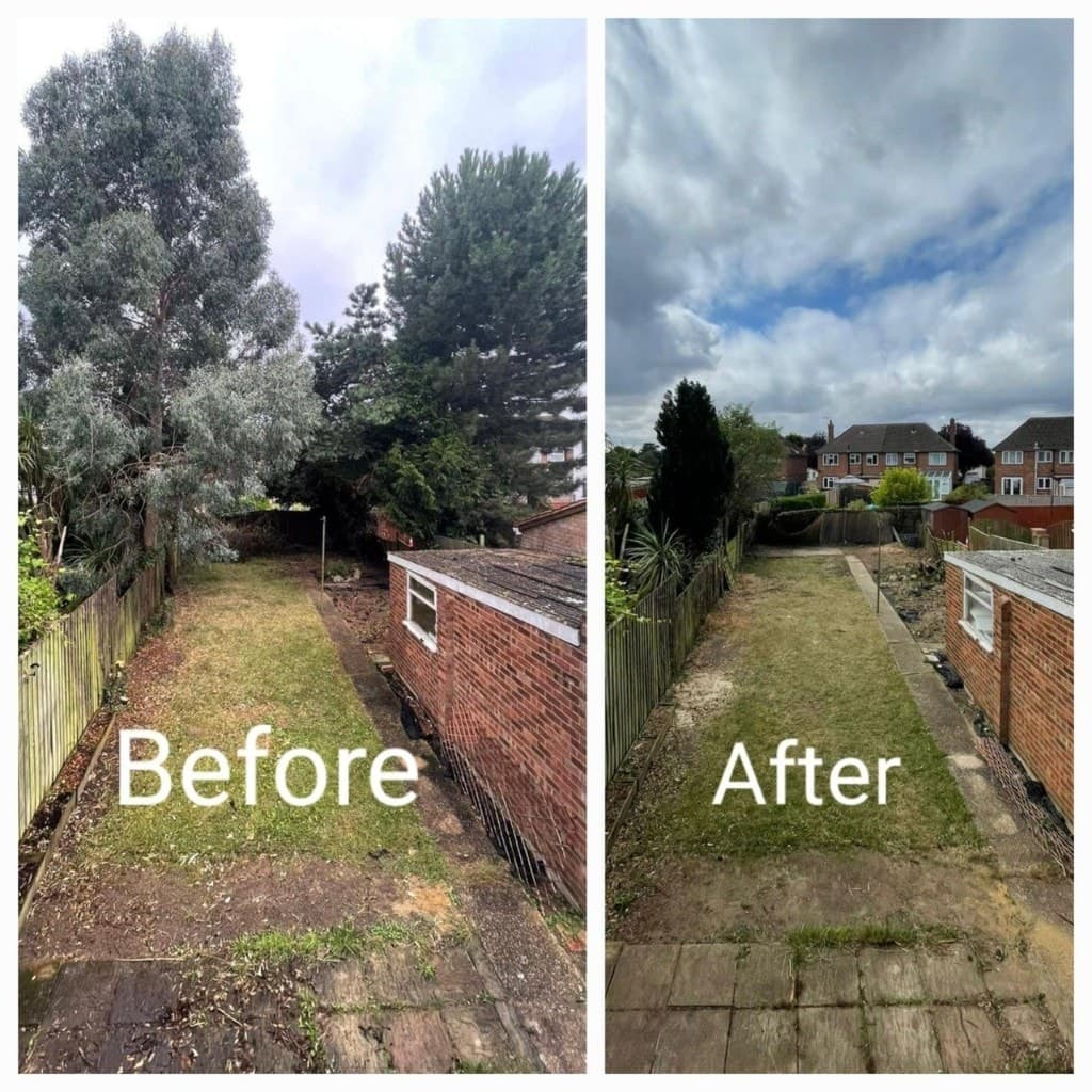 Garden & Site Clearances — Tree Volution