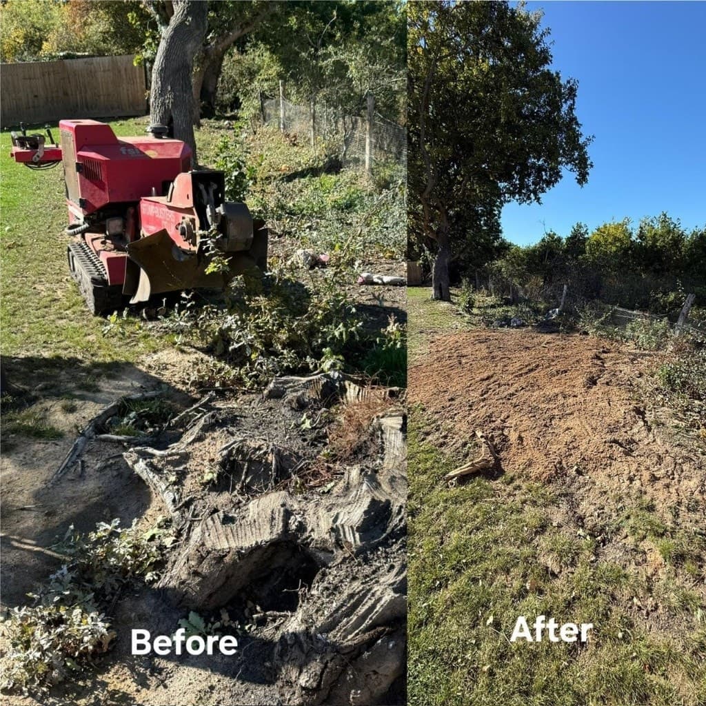 Stump Grinding — Tree Volution